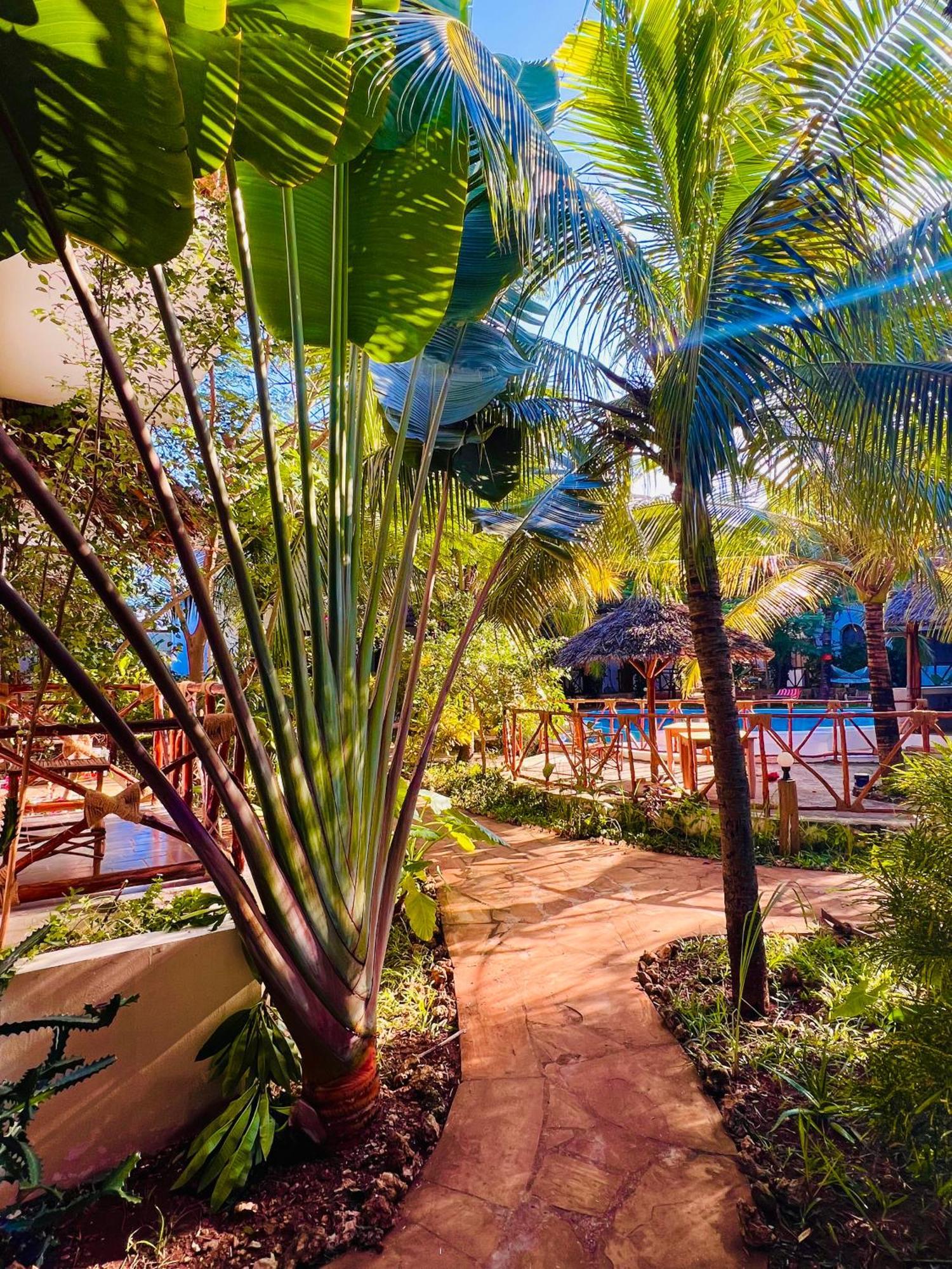 Tropical Nungwi Ξενοδοχείο Εξωτερικό φωτογραφία