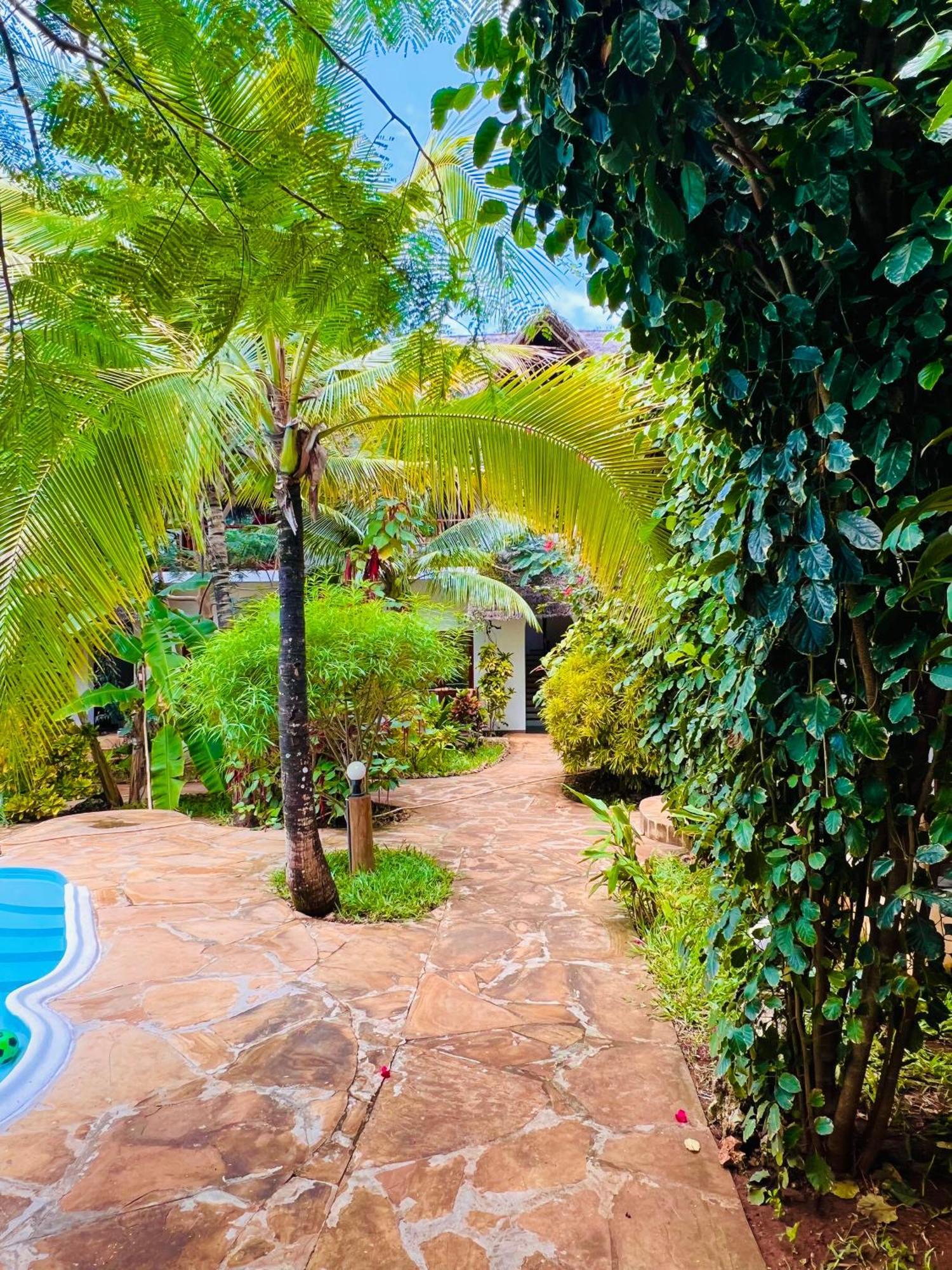 Tropical Nungwi Ξενοδοχείο Εξωτερικό φωτογραφία
