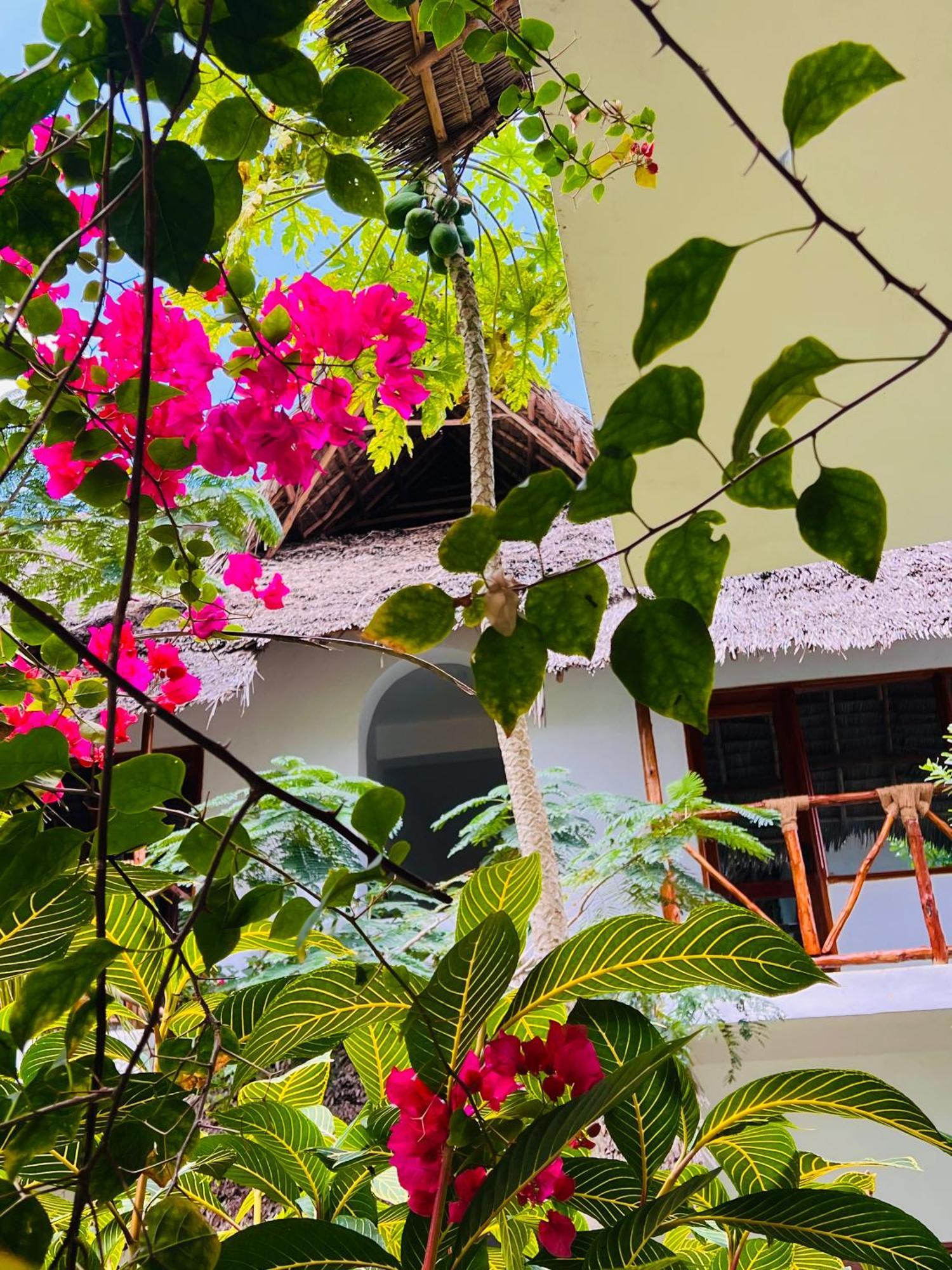 Tropical Nungwi Ξενοδοχείο Εξωτερικό φωτογραφία